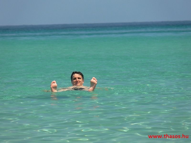 balazsh 2011